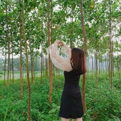 랴 으