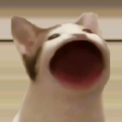 Ko biết ghi gì:<